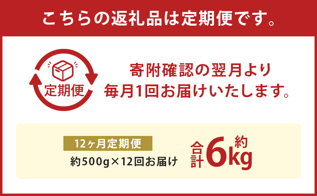 【12か月定期便】熊本産 馬肉 しゃぶしゃぶ 約500g