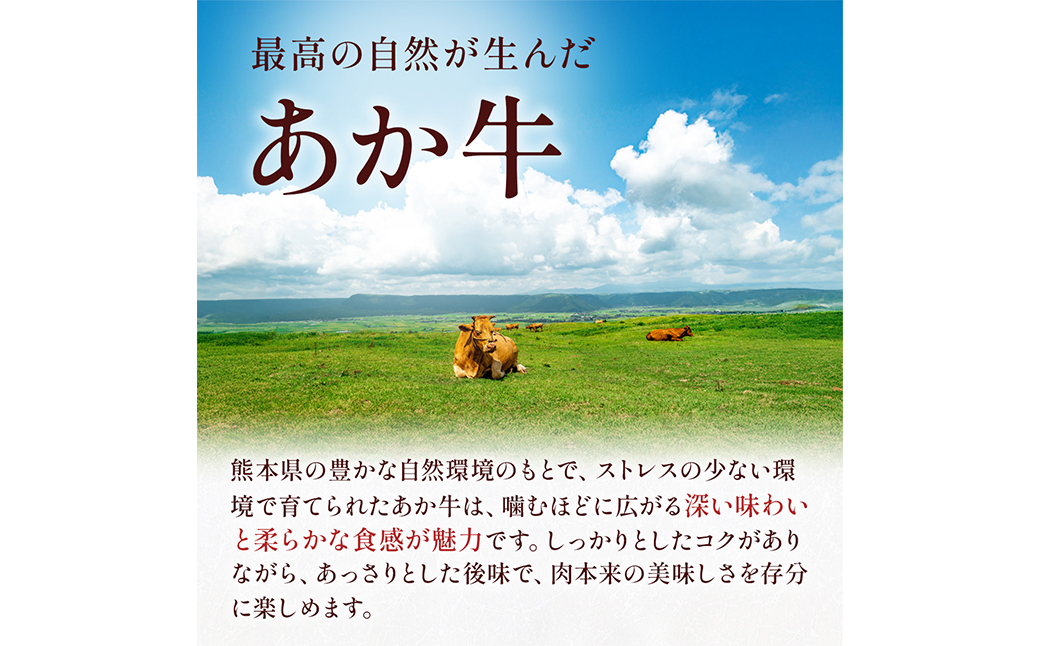 熊本県産 GI認証取得 くまもとあか牛 切り落とし 合計1kg あか牛