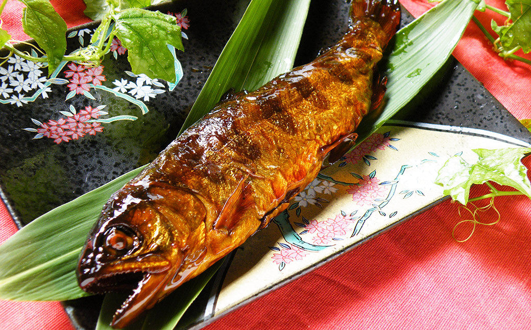 奥阿蘇 やまめ 3種 マススモーク 1種 計4種 渓流 セット