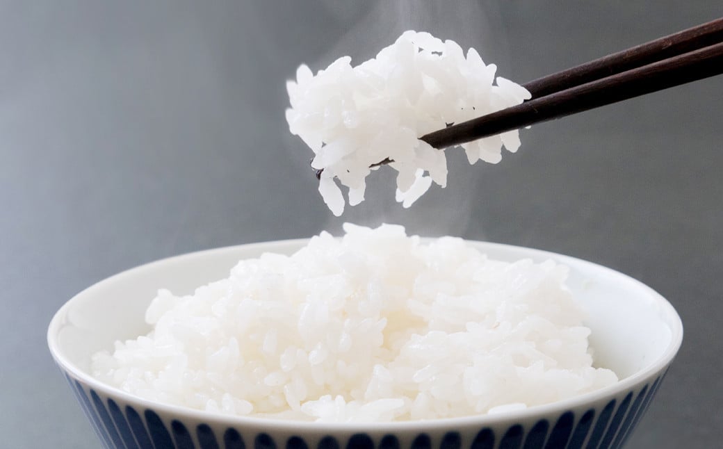 JA阿蘇 コシヒカリ 2kg×5袋 計10kg お米 熊本県産