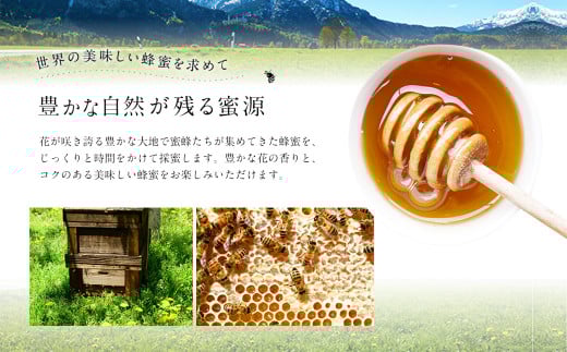 はちみつ 専門店 【かの蜂】 ゴールデンハニー 2kg