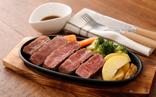 【6か月定期便】熊本あか牛ヒレ肉 約3kg（約150g×15枚～18枚）