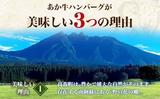 あか牛ハンバーグ 2種セット 計20個