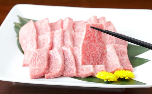 くまもと黒毛和牛 焼き肉用 ロース 600g （300g×2パック）