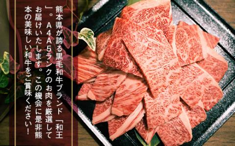 熊本県産 黒毛和牛 和王 サーロインステーキ 250g×2P A4 A5 厳選