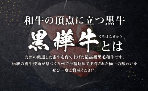 【3回定期便】くまもと黒毛和牛 杉本本店 黒樺牛 A4～A5等級 ヒレステーキ定期便 400g✕3回