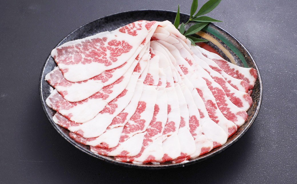 【3か月定期便】熊本産 馬肉 しゃぶしゃぶ 約500g