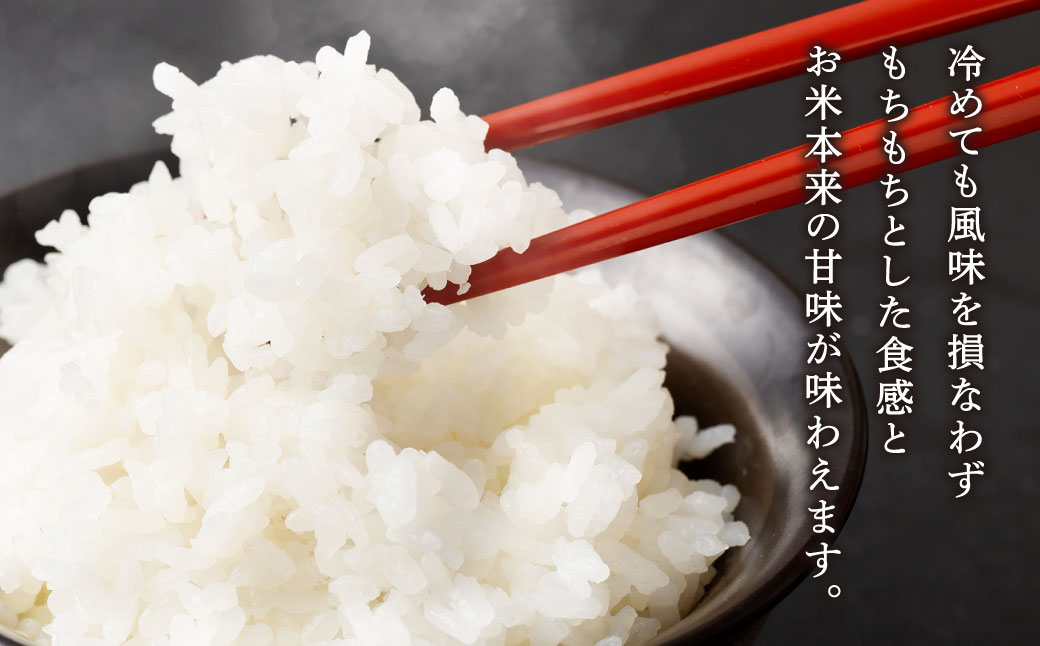 【令和5年産】くまもとのブランド米 くまさんの輝き 10kg