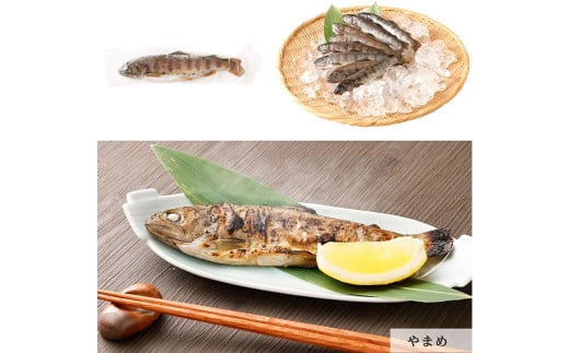 阿蘇から届く かわべの湧水やまめ 640g（内臓処理済8匹）とASOサーモンの北イタリア風ソテー 300g（50g×6切）やまめ サーモン 熊本県 高森町