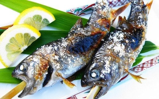 奥阿蘇 やまめ 3種 マススモーク 1種 計4種 渓流 セット