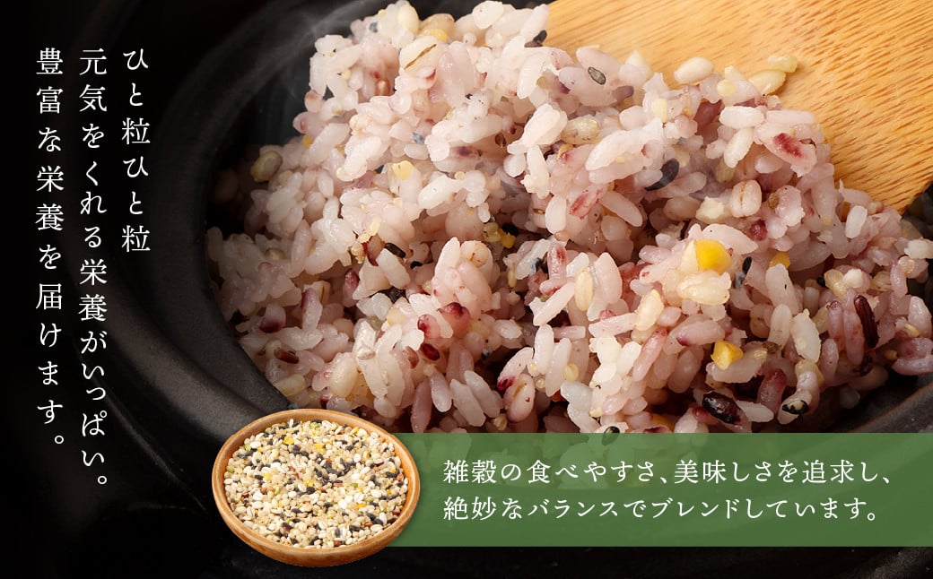 熊本県産 三十一雑穀米 500g 阿蘇だわら お米 雑穀米 熊本県 高森町 国産