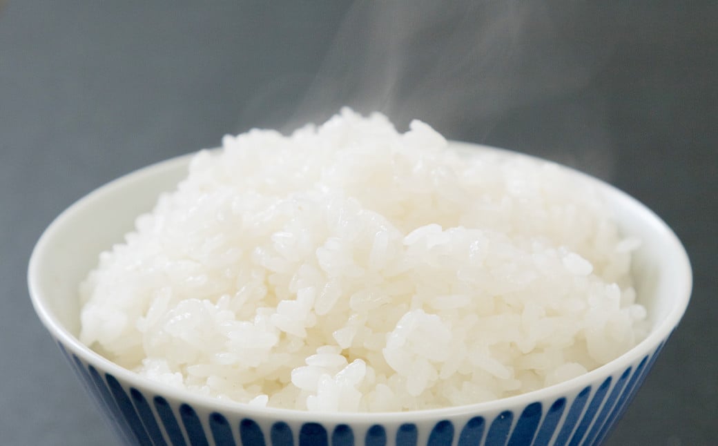 JA阿蘇 コシヒカリ 2kg×5袋 計10kg お米 熊本県産