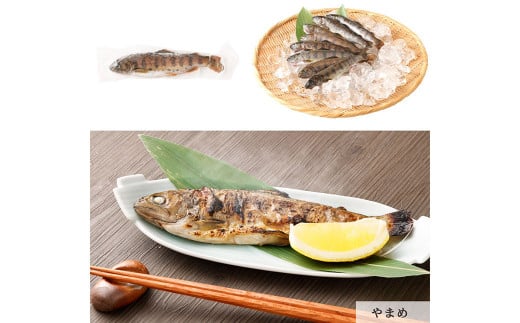 阿蘇から届く かわべの湧水やまめ・ASOサーモン 阿蘇一周セット 川魚 やまめ サーモン 熊本県 高森町