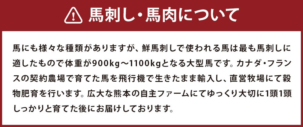 鮮馬刺し スライス&馬肉惣菜 約1kg 10種 バラエティセット 馬刺し 馬刺