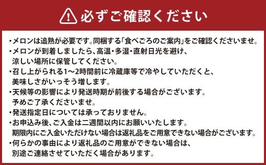 肥後グリーンメロン 2玉（4.2～4.5kg）