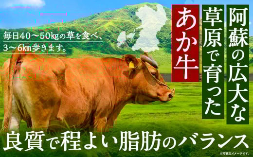 阿蘇プレミアムハンバーグ（レトルト） 150g×20個（合計3kg） ハンバーグ はんばーぐ ジューシー あか牛 赤牛 牛肉 洋食 おかず レトルト 簡単 お手軽 熊本 阿蘇 九州