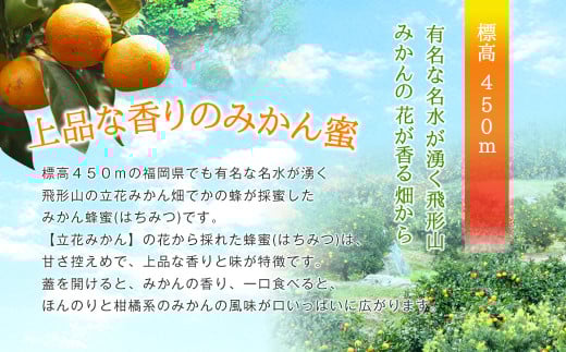 はちみつ 専門店【かの蜂】 国産 みかん 蜂蜜 500g