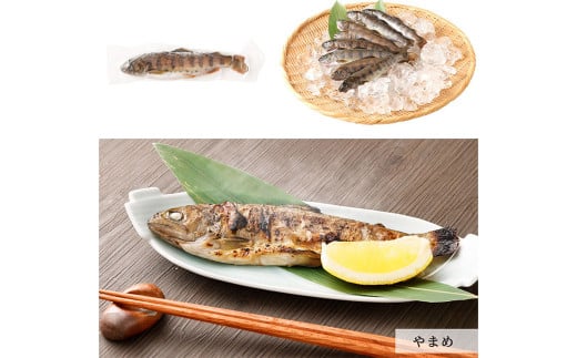 阿蘇から届く かわべの湧水やまめ 640g（内臓処理済8匹）と ASOサーモンの燻製 240g（40g×6パック）セット やまめ サーモン 熊本県 高森町