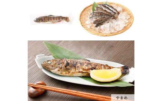 阿蘇から届く かわべの湧水やまめ 640g（内臓処理済8匹）と かわべのASOサーモン塩麹仕立て 480g（80g×6切）やまめ サーモン 熊本県 高森町