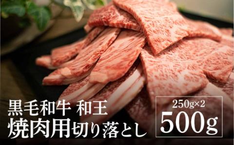 熊本県産 黒毛和牛 和王 サーロインステーキ 250g×2P A4 A5 厳選