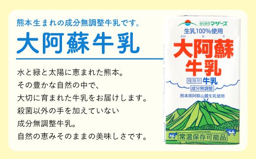 【6ヶ月 定期便 】らくのうマザーズ 大阿蘇 牛乳 3.6％ 250ml×24本