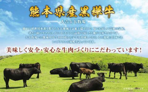 くまもと黒毛和牛 杉本本店 黒樺牛 A4～A5等級 モモステーキ 100g×10 計1kg