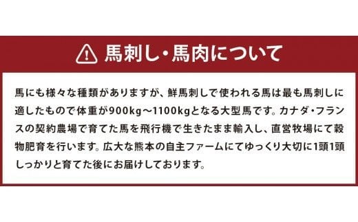 馬刺し カルビ 心臓(ハツ) 切り落とし 600g セット 馬肉 冷凍
