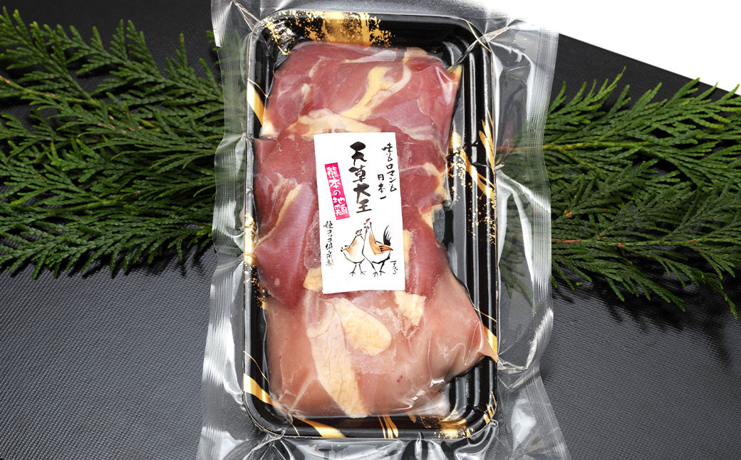 天草大王【アウトドアセット】幻の鶏 キャンプ BBQ 骨付きもも肉 500g !! 大手羽先 ソーセージ ブツ切り ミックス セット