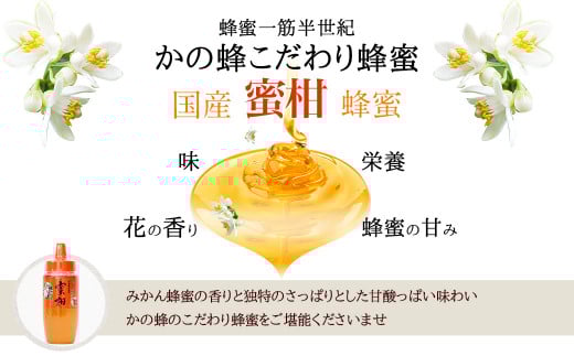 はちみつ 専門店【かの蜂】 国産 みかん 蜂蜜 500g