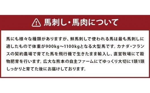 馬スジ 2kg 500g×4袋 加熱 ボイル済み 調理済 冷凍