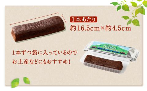 合計 1.8kg !! 南阿蘇鉄道トロッコショコラ 10本 熊本県 高森町 約180g×10本