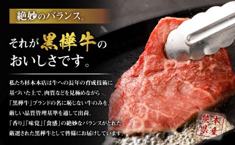 くまもと黒毛和牛 杉本本店 黒樺牛 A4～A5等級 モモステーキ 100g×6 計600g