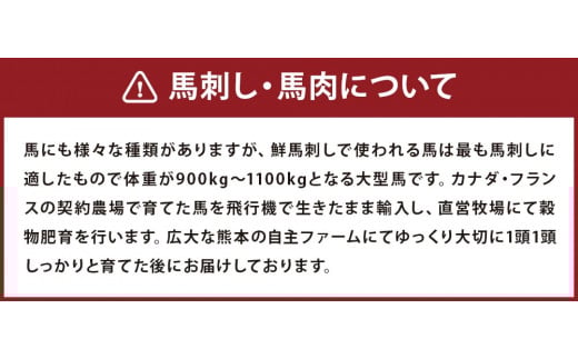 馬刺し 桜うまトロ (ネギトロ) 合計約 720g 馬肉 熊本県 高森町