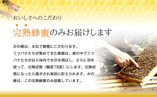 はちみつ 専門店【かの蜂】 国産 みかん 蜂蜜 500g