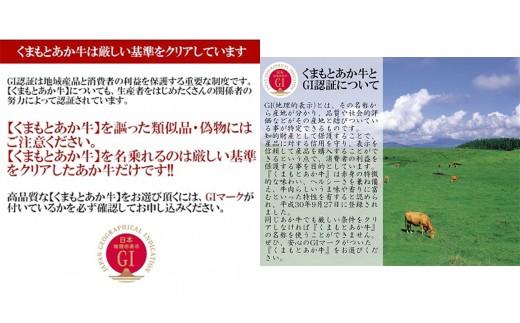 熊本県産 GI認証取得 くまもとあか牛 切り落とし 合計800g