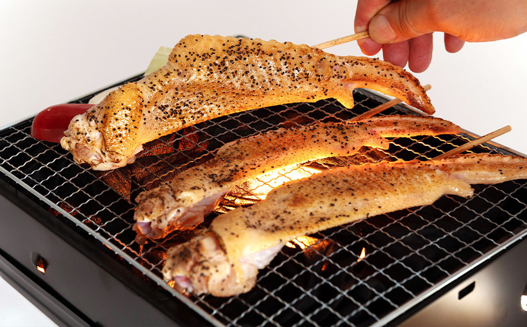 天草大王【アウトドアセット】幻の鶏 キャンプ BBQ 骨付きもも肉 500g !! 大手羽先 ソーセージ ブツ切り ミックス セット