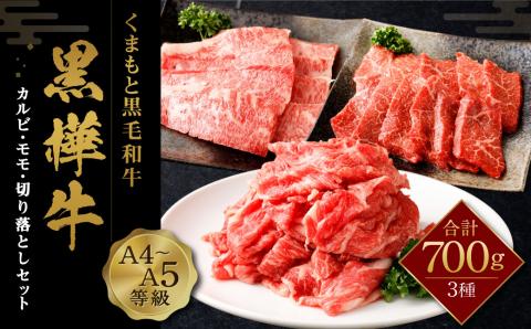 くまもと黒毛和牛 杉本本店 黒樺牛 A4～A5等級 焼き肉用 カルビ・モモ・切り落としセット 計700g タレ1本