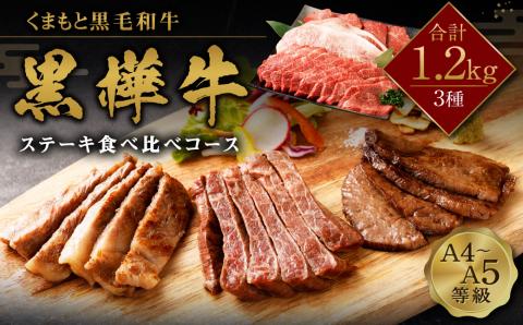 くまもと黒毛和牛 杉本本店 黒樺牛 A4～A5等級 ステーキ食べ比べコース 計1.2kg