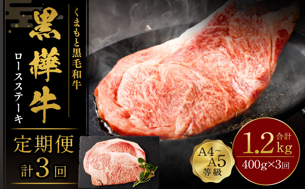 【3回定期便】くまもと黒毛和牛 杉本本店 黒樺牛 A4~A5等級 ロースステーキ定期便 400g×3回