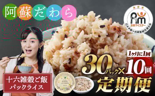 【定期便10ヶ月】阿蘇だわら 十六雑穀ごはん パックライス 160g×30パック