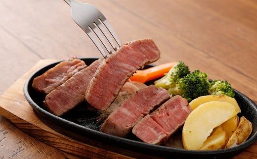 【6か月定期便】熊本あか牛ヒレ肉 約3kg（約150g×15枚～18枚）