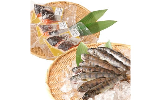 阿蘇から届く かわべの湧水やまめ 640g（内臓処理済8匹）と かわべのASOサーモン塩麹仕立て 480g（80g×6切）やまめ サーモン 熊本県 高森町