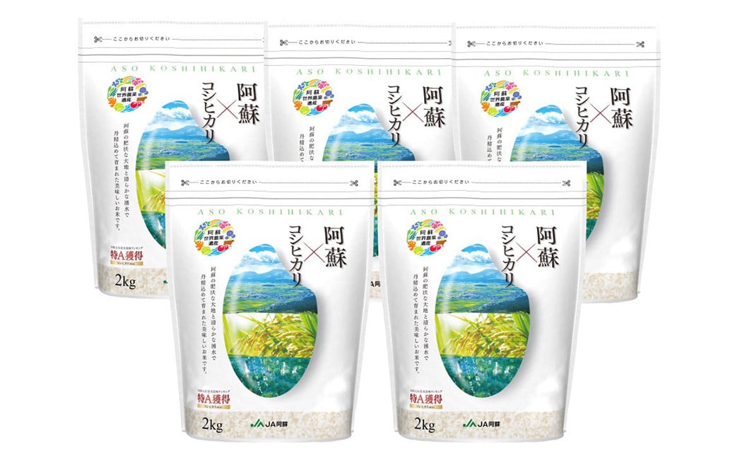JA阿蘇 コシヒカリ 2kg×5袋 計10kg お米 熊本県産