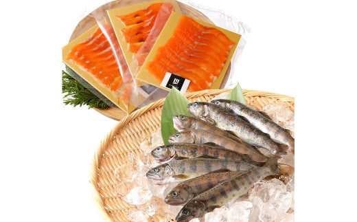 阿蘇から届く かわべの湧水やまめ 640g（内臓処理済8匹）と ASOサーモンの燻製 240g（40g×6パック）セット やまめ サーモン 熊本県 高森町