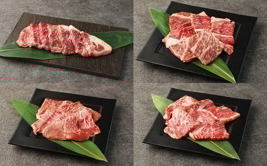 阿蘇あか牛満喫セット（モモ・上カルビ・上ロース・サーロイン・ハンバーグ・丼）6種 赤牛 和牛 国産牛 牛肉 牛 肉 お肉 モモ カルビ ロース サーロイン ハンバーグ あか牛丼 阿蘇