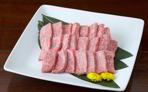 くまもと黒毛和牛 焼き肉用 ロース 600g （300g×2パック）