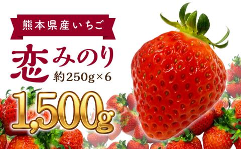 熊本県産 いちご 恋みのり 約250g×6パック 計1500g フルーツ