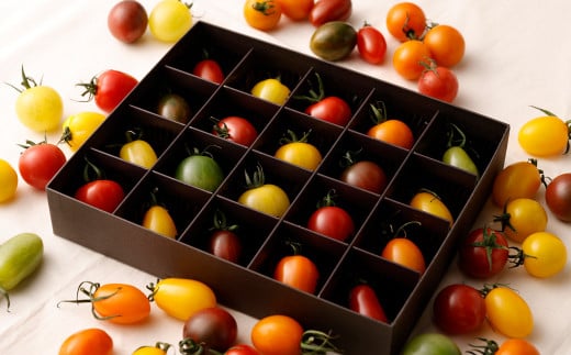 [先行予約][2023年6月上旬より順次発送予定]20色カラフルミニトマト 20粒 トマト 高森町産