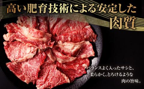 熊本県産黒毛和牛 焼肉 カルビ 切り落とし300g(1パック)