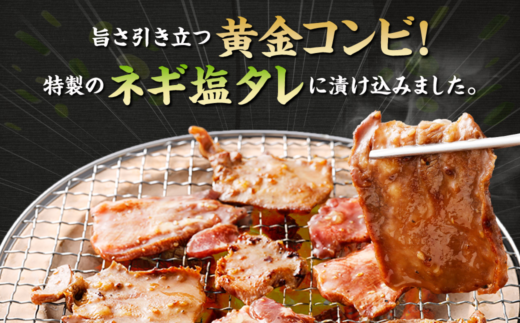 厚切り牛タンステーキ（ネギ塩味） 400g 牛タン タン ステーキ 厚切り 厚切りタン ネギ塩 牛肉 肉 ビーフ 塩牛タン 味付け肉 熊本県 西原村 冷凍